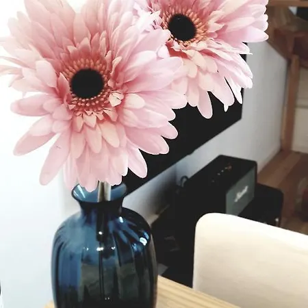 Apartman Duplex Haussmanien En Plein Coeur De